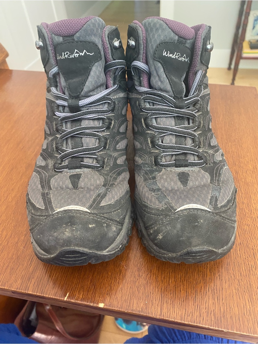 WindRiver Women's Lace-Up Hiking Boots — Black and Gray with Purple Accents